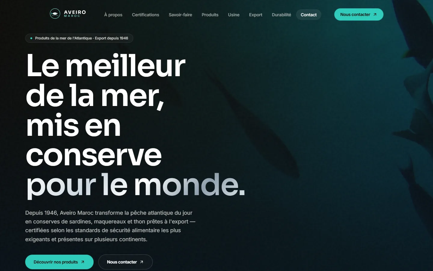 Homepage of Aveiro Maroc